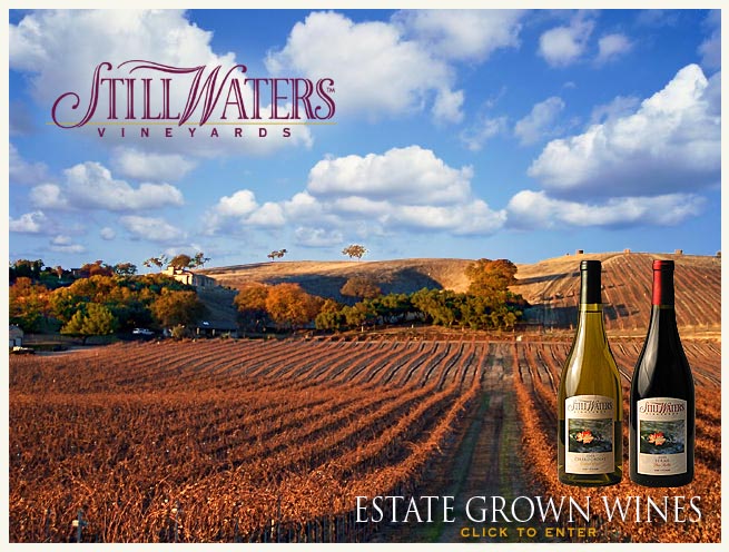 Still Waters Vineyards. Estate Grown Wines.