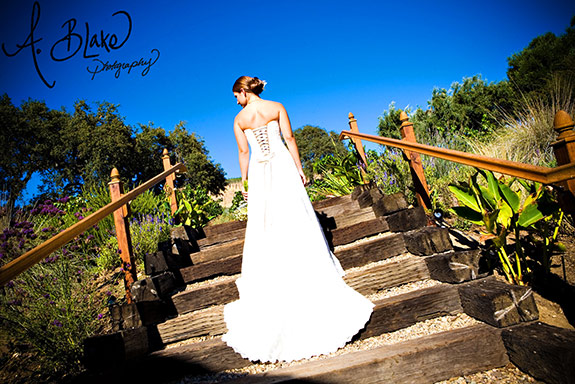 Weddings at Stillwaters Vineyards