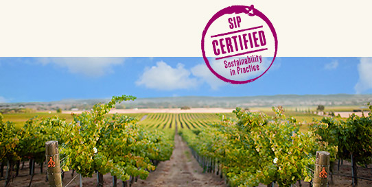 sustainability-header-with-logo