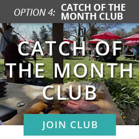 club-catch-of-the-month